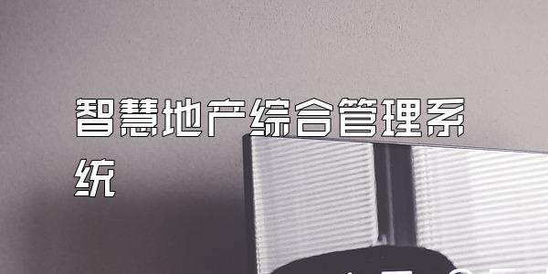 智慧地产综合管理系统