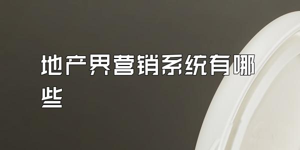 地产界营销系统有哪些