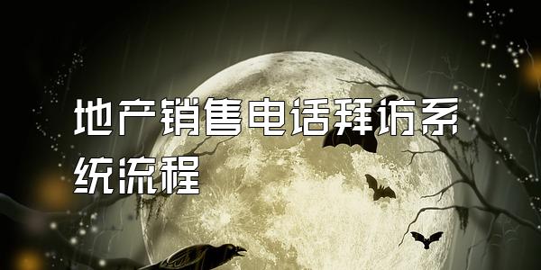 地产销售电话拜访系统流程