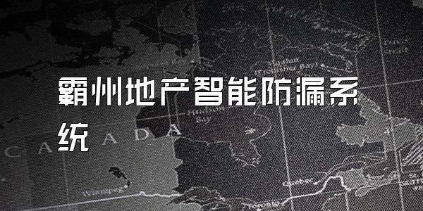 霸州地产智能防漏系统