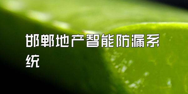 邯郸地产智能防漏系统
