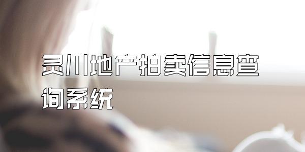 灵川地产拍卖信息查询系统