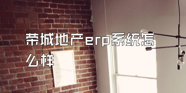 荣城地产erp系统怎么样