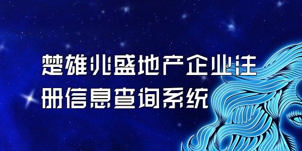 楚雄兆盛地产企业注册信息查询系统