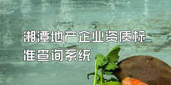 湘潭地产企业资质标准查询系统