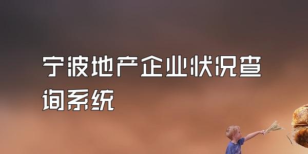 宁波地产企业状况查询系统