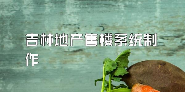 吉林地产售楼系统制作
