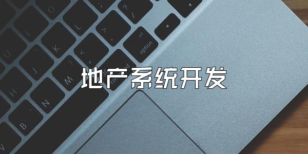 地产系统开发