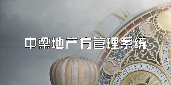 中梁地产方管理系统