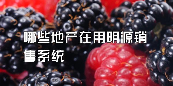 哪些地产在用明源销售系统