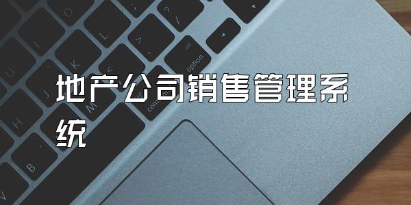 地产公司销售管理系统