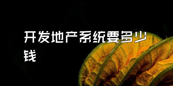 开发地产系统要多少钱
