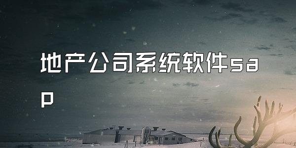 地产公司系统软件sap
