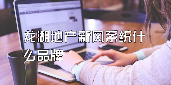龙湖地产新风系统什么品牌