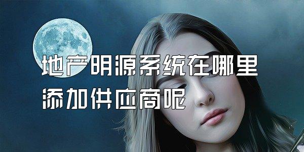 地产明源系统在哪里添加供应商呢