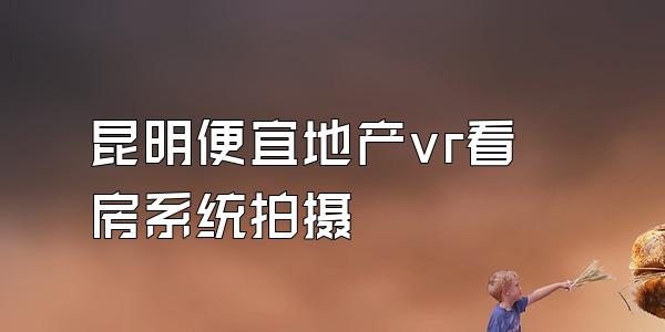 昆明便宜地产vr看房系统拍摄