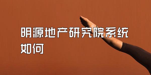 明源地产研究院系统如何