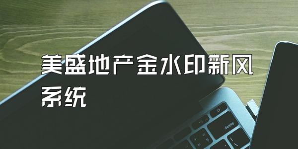 美盛地产金水印新风系统