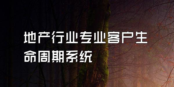 地产行业专业客户生命周期系统