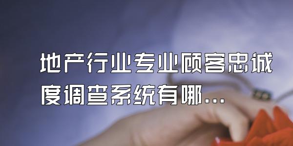 地产行业专业顾客忠诚度调查系统有哪些