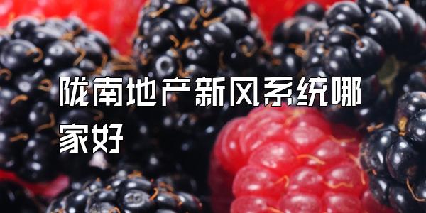 陇南地产新风系统哪家好