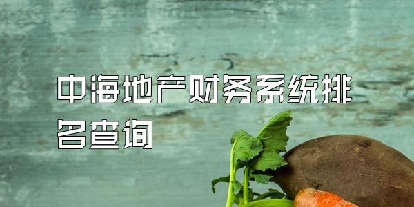 中海地产财务系统排名查询