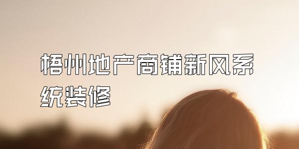 梧州地产商铺新风系统装修