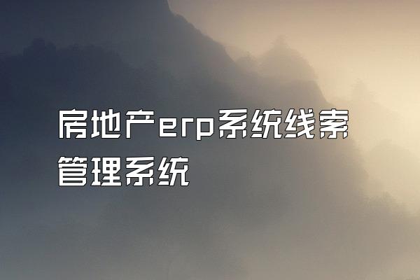 房地产erp系统线索管理系统
