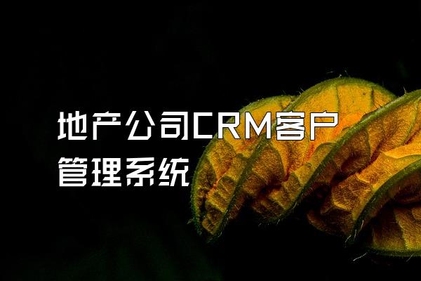 地产公司CRM客户管理系统