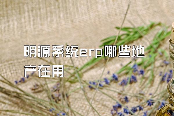 明源系统erp哪些地产在用