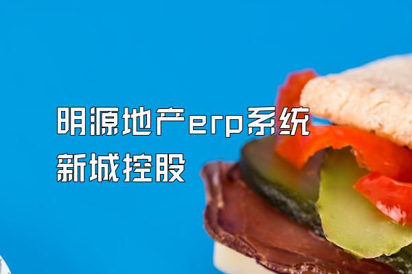 明源地产erp系统 新城控股