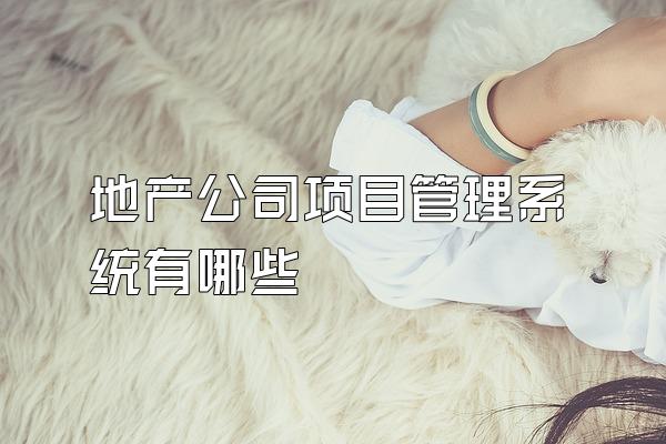 地产公司项目管理系统有哪些