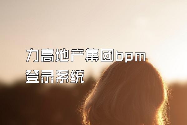 力高地产集团bpm登录系统