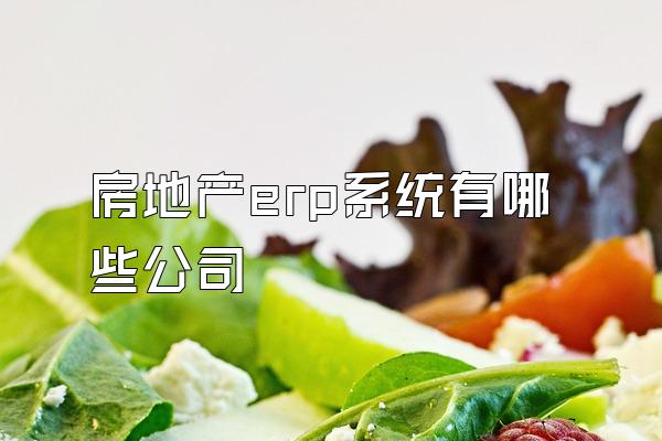 房地产erp系统有哪些公司