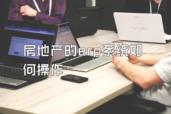 房地产的erp系统如何操作
