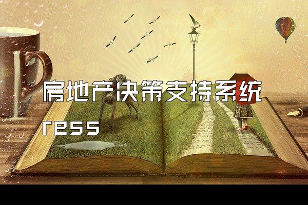 房地产决策支持系统 ress