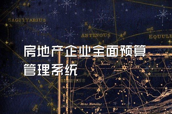 房地产企业全面预算管理系统