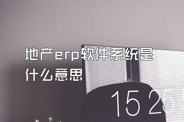 地产erp软件系统是什么意思