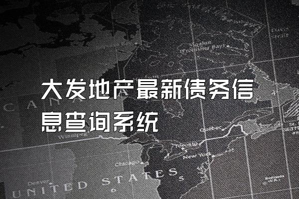 大发地产最新债务信息查询系统