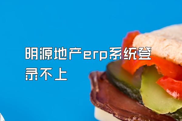 明源地产erp系统登录不上