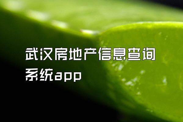 武汉房地产信息查询系统app