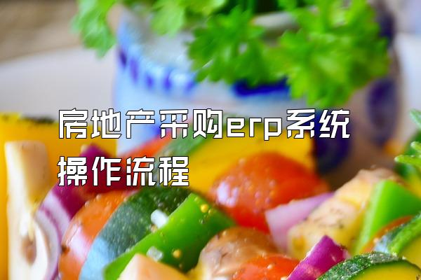 房地产采购erp系统操作流程