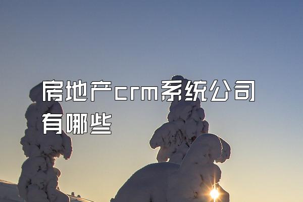 房地产crm系统公司有哪些