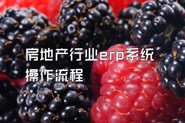 房地产行业erp系统操作流程