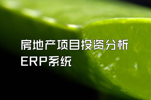 房地产项目投资分析ERP系统
