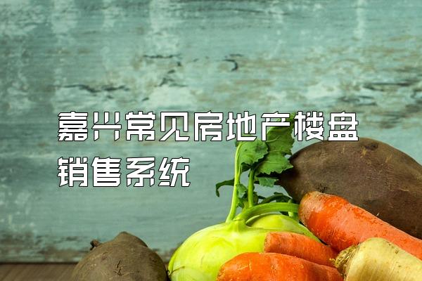 嘉兴常见房地产楼盘销售系统