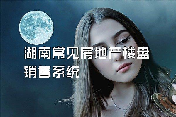 湖南常见房地产楼盘销售系统