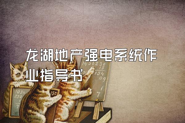 龙湖地产强电系统作业指导书