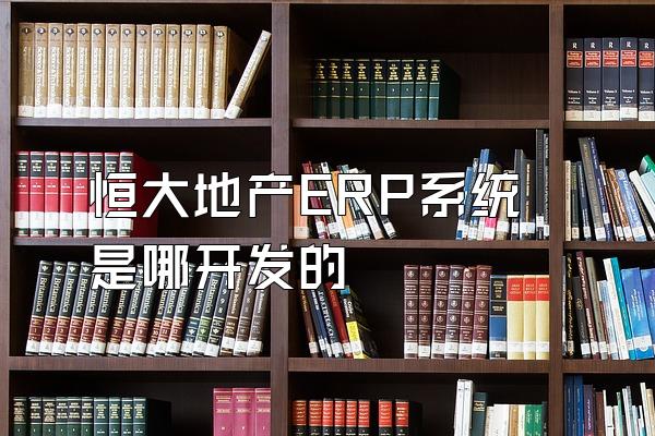 恒大地产ERP系统是哪开发的