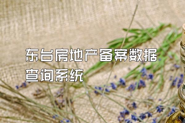 东台房地产备案数据查询系统